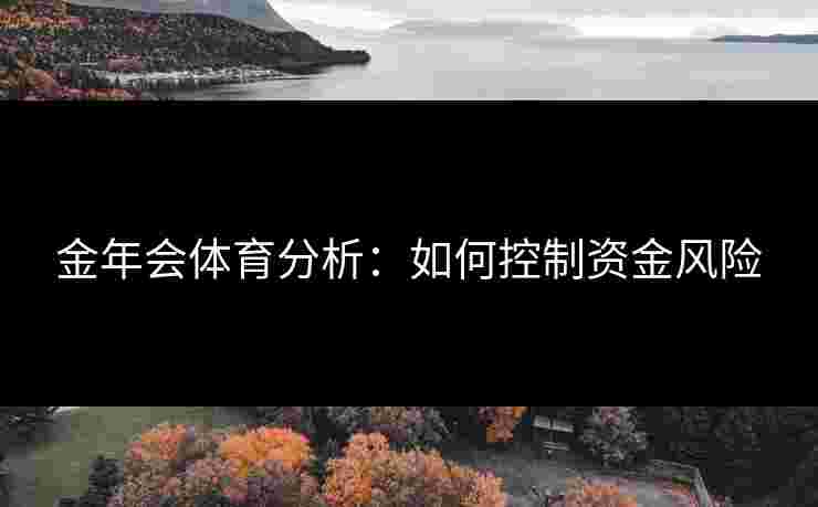 金年会体育分析：如何控制资金风险